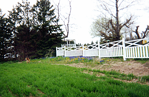20111013 - fence