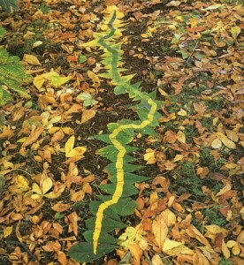 Andy Goldsworthy