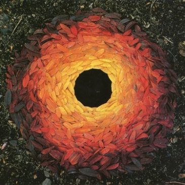 Andy Goldsworthy: worthy of your eye