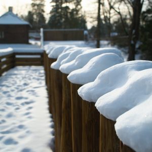 Fort Langley in snow