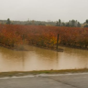 Rainy autumn drive