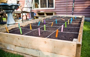 square foot garden