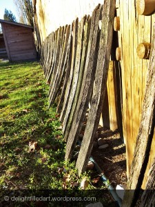barrel staves leaning on Fort Langley palisade