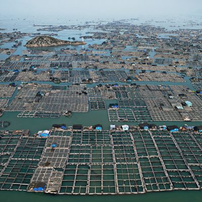 Edward Burtynsky: Marine Aquaculture #1, 2012 Source