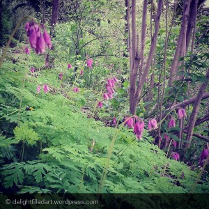 09 bleeding hearts