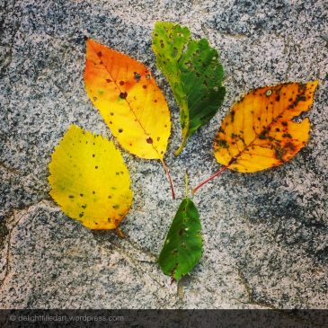 leaf collage