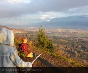 view of Fraser Valley from Sumas Mountain