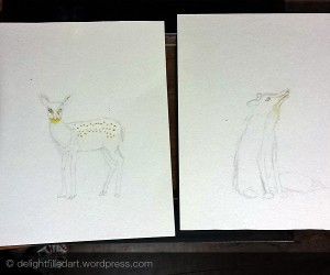 animal sketches