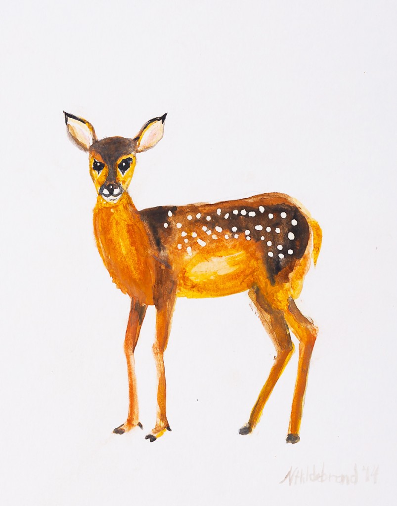 FAWN NURSERY ART