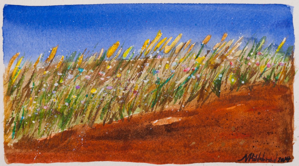 ROADSIDE GRASSES