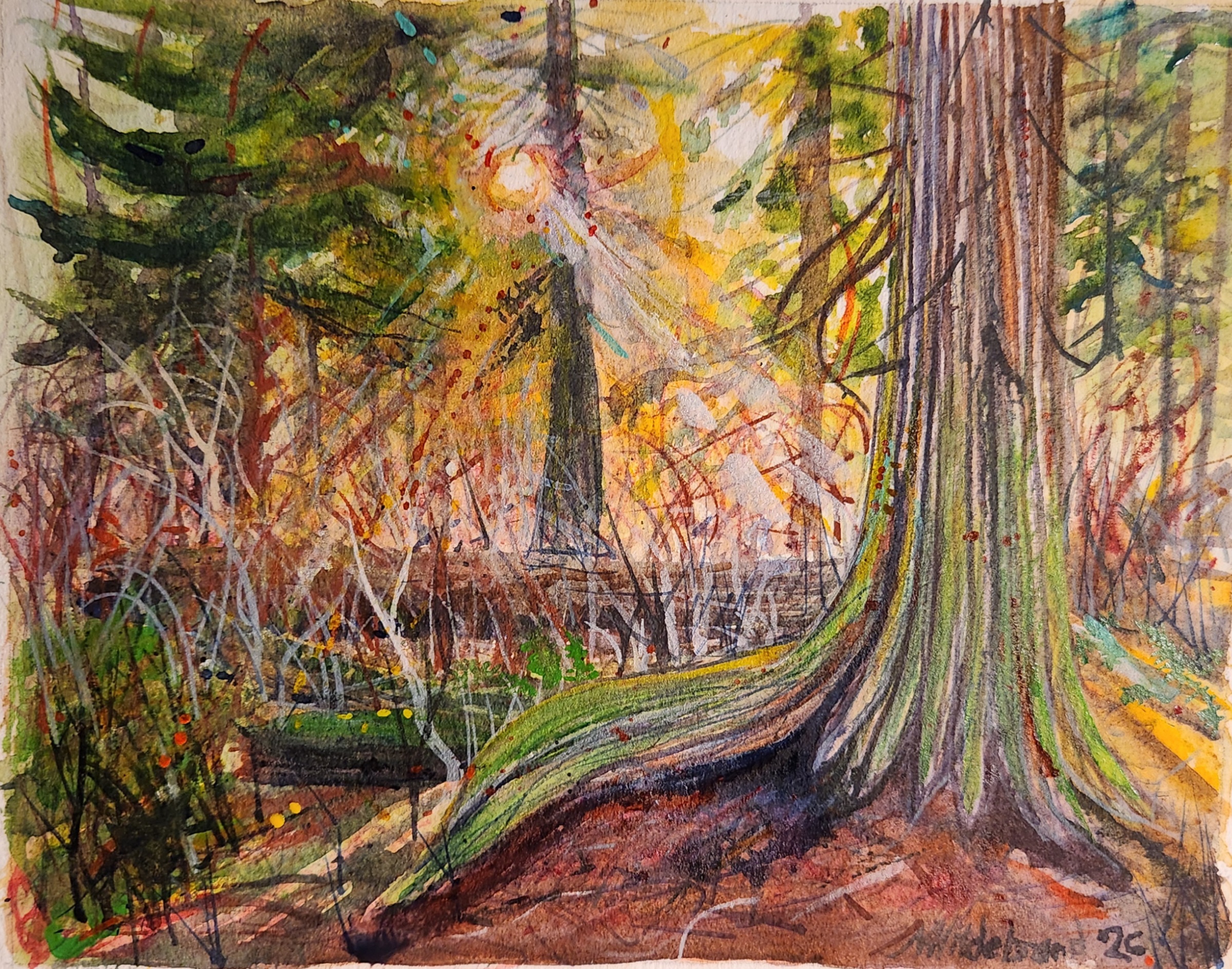 Cedar, Houston Trail